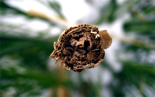 假牙比自己的白怎么办，我刚镶的烤瓷牙但是感觉牙的颜色比自己的白都已经镶好了还摘