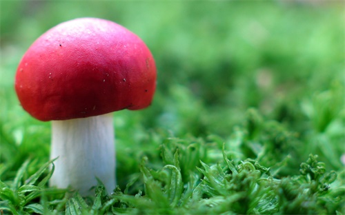 长蛀牙补牙多少钱一颗，蛀牙了到医院补牙一般要多少钱